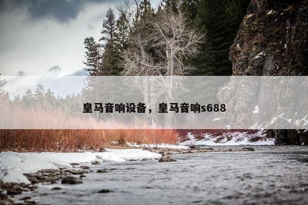 皇马音响设备，皇马音响s688