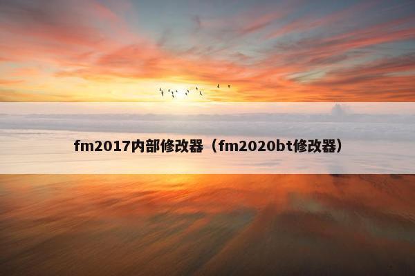 fm2017内部修改器（fm2020bt修改器）