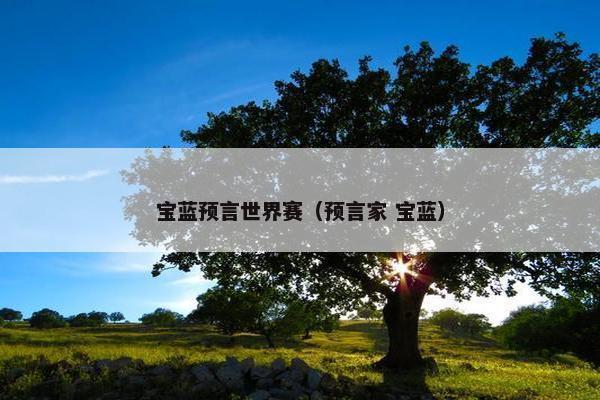 宝蓝预言世界赛（预言家 宝蓝）