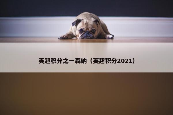 英超积分之一森纳（英超积分2021）
