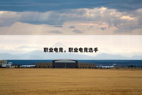 职业电竞，职业电竞选手