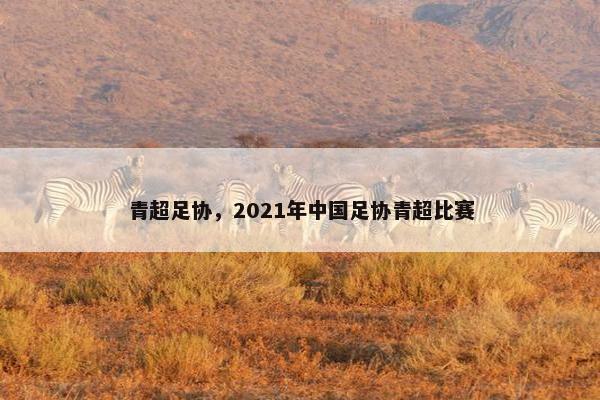 青超足协，2021年中国足协青超比赛