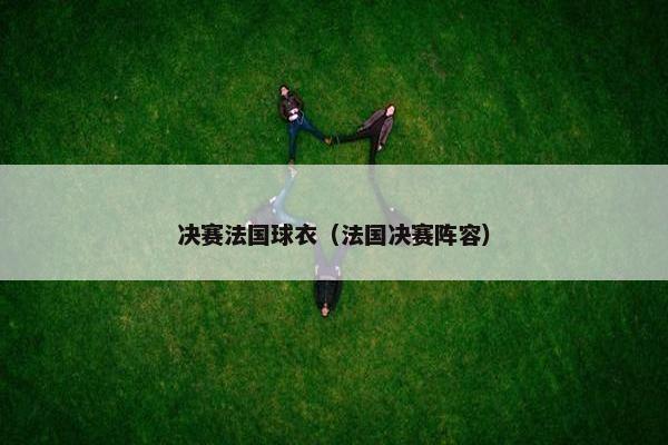决赛法国球衣（法国决赛阵容）