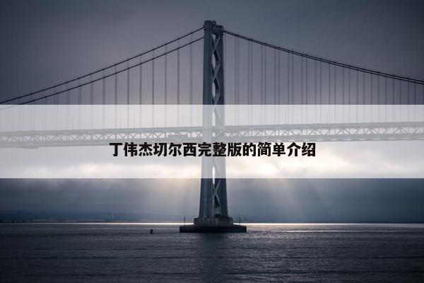丁伟杰切尔西完整版的简单介绍