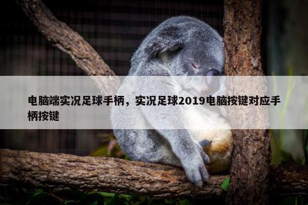 电脑端实况足球手柄，实况足球2019电脑按键对应手柄按键