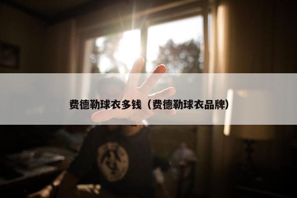 费德勒球衣多钱（费德勒球衣品牌）
