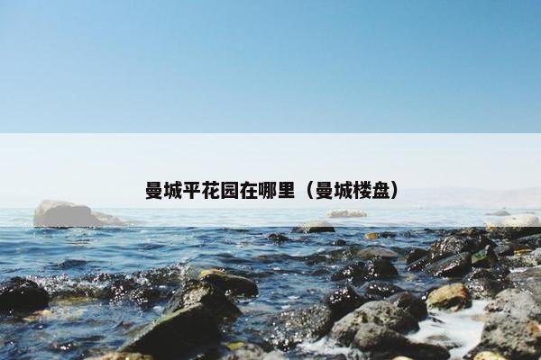 曼城平花园在哪里（曼城楼盘）