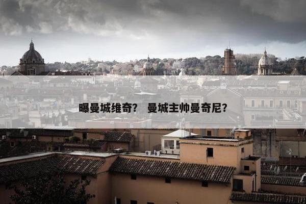 曝曼城维奇？ 曼城主帅曼奇尼？