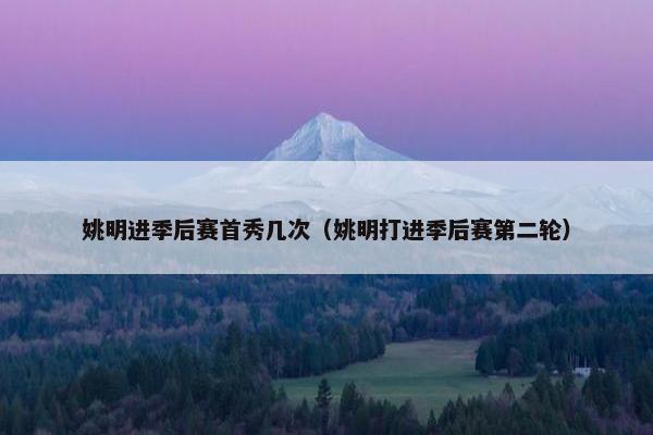 姚明进季后赛首秀几次（姚明打进季后赛第二轮）