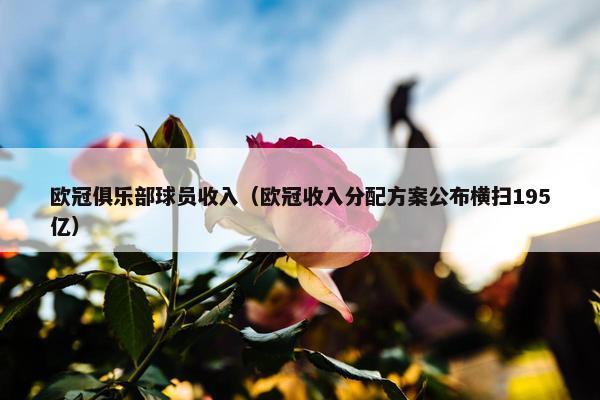 欧冠俱乐部球员收入（欧冠收入分配方案公布横扫195亿）