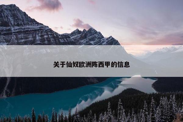 关于仙奴欧洲阵西甲的信息