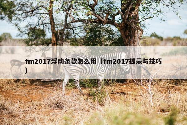 fm2017浮动条款怎么用（fm2017提示与技巧）