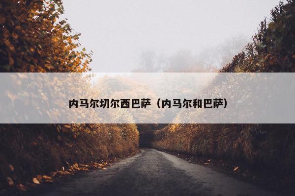 内马尔切尔西巴萨（内马尔和巴萨）