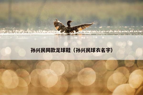 孙兴民同款足球鞋（孙兴民球衣名字）