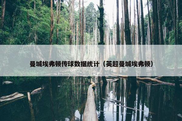 曼城埃弗顿传球数据统计（英超曼城埃弗顿）