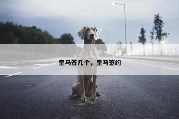皇马签几个，皇马签约