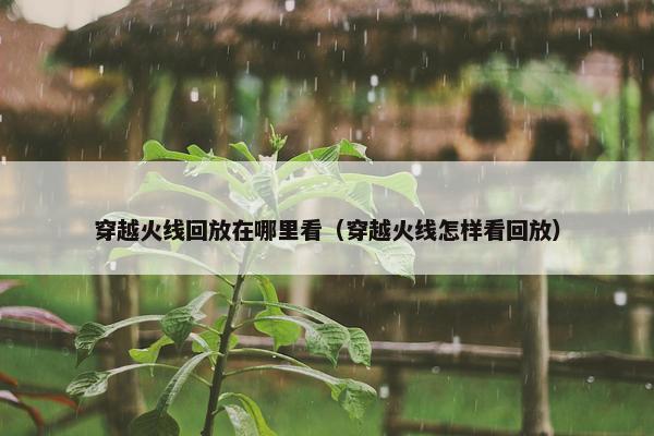 穿越火线回放在哪里看（穿越火线怎样看回放）