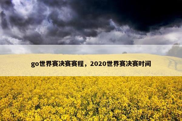 go世界赛决赛赛程，2020世界赛决赛时间