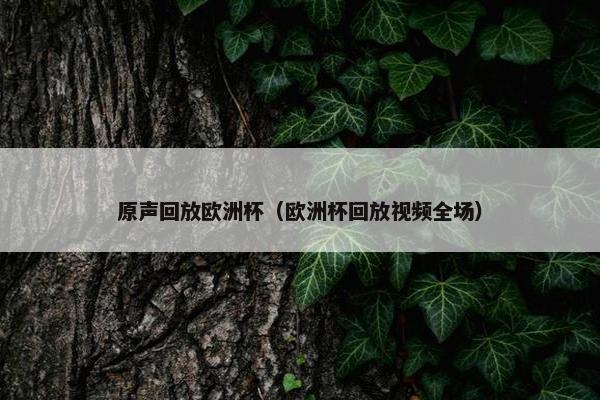 原声回放欧洲杯（欧洲杯回放视频全场）