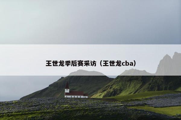 王世龙季后赛采访（王世龙cba）