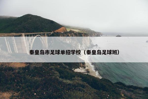 秦皇岛市足球单招学校（秦皇岛足球班）