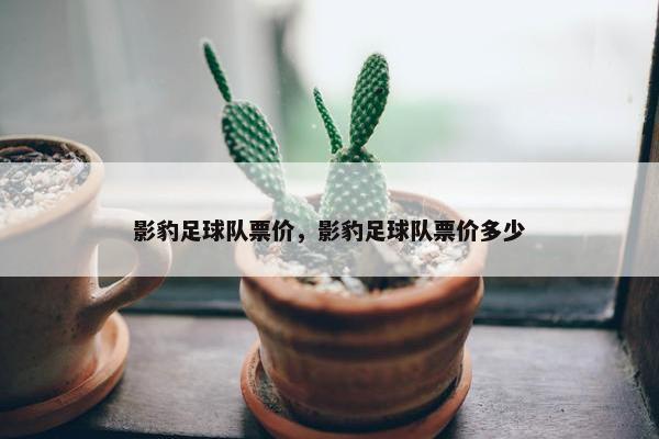 影豹足球队票价，影豹足球队票价多少