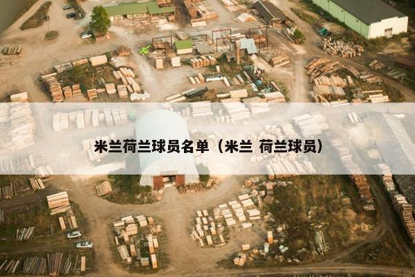 米兰荷兰球员名单（米兰 荷兰球员）