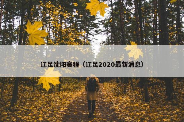 辽足沈阳赛程（辽足2020最新消息）