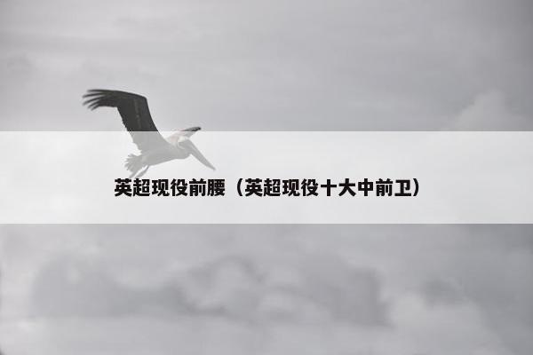 英超现役前腰（英超现役十大中前卫）