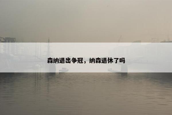 森纳退出争冠，纳森退休了吗