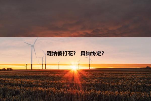 森纳被打花？ 森纳协定？