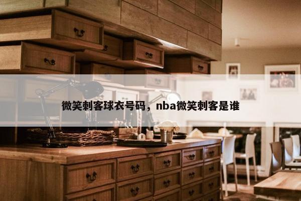 微笑刺客球衣号码，nba微笑刺客是谁