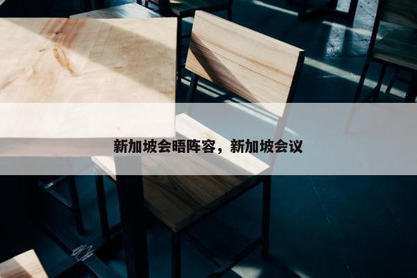 新加坡会晤阵容，新加坡会议