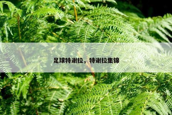 足球特谢拉，特谢拉集锦