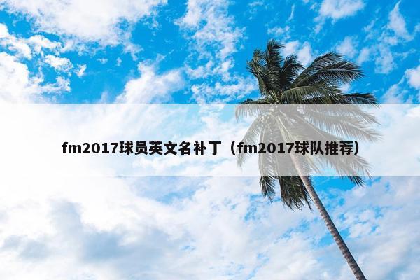 fm2017球员英文名补丁（fm2017球队推荐）