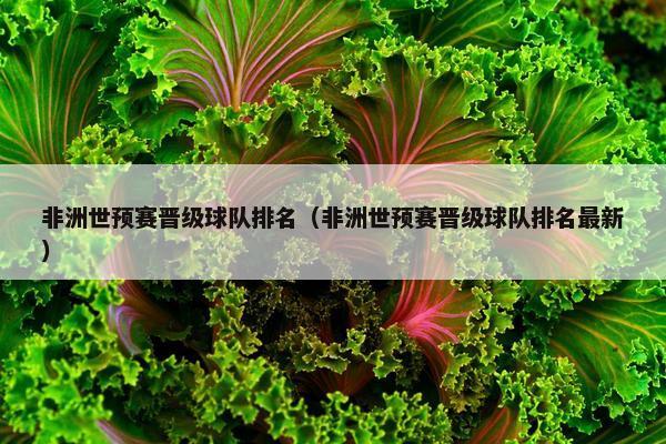 非洲世预赛晋级球队排名（非洲世预赛晋级球队排名最新）