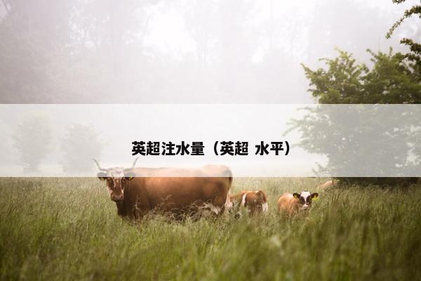 英超注水量（英超 水平）