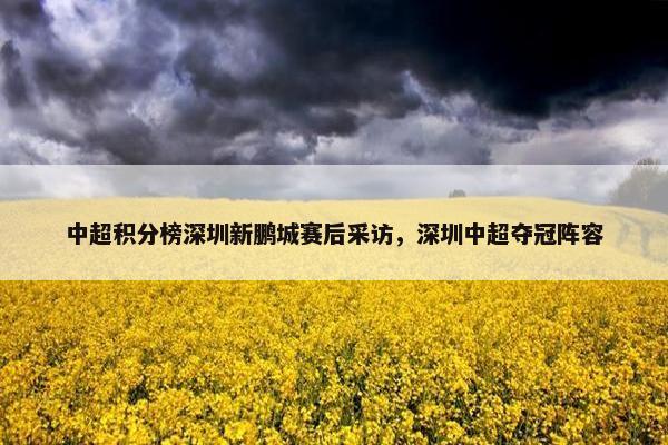 中超积分榜深圳新鹏城赛后采访，深圳中超夺冠阵容