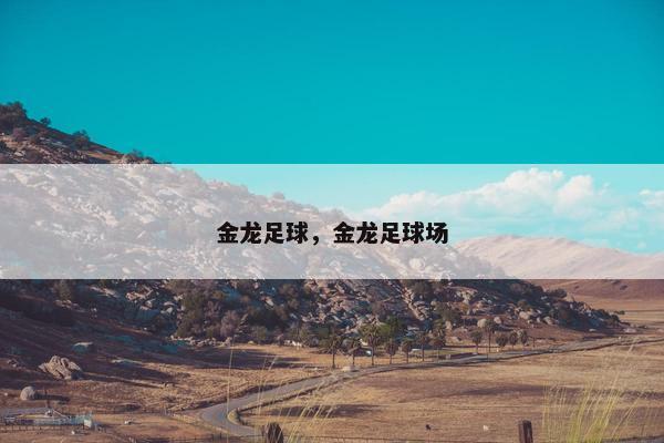金龙足球，金龙足球场