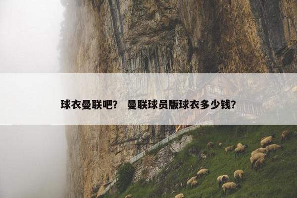 球衣曼联吧？ 曼联球员版球衣多少钱？