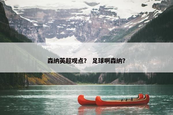 森纳英超观点？ 足球啊森纳？