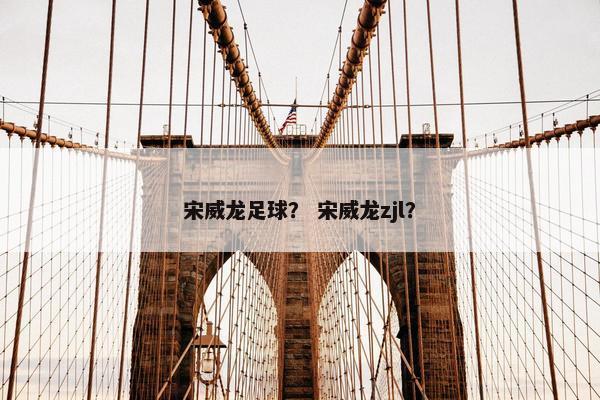 宋威龙足球？ 宋威龙zjl？