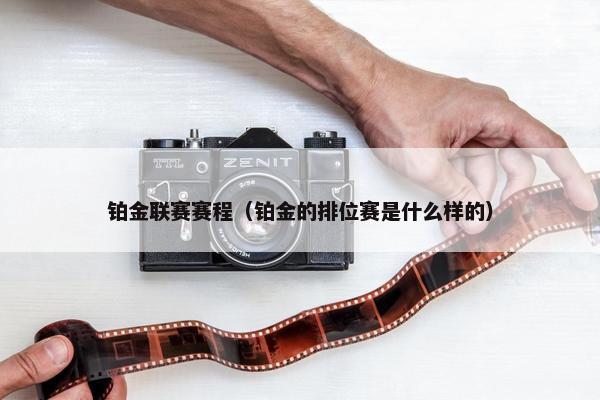 铂金联赛赛程（铂金的排位赛是什么样的）