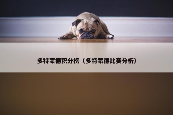 多特蒙德积分榜（多特蒙德比赛分析）