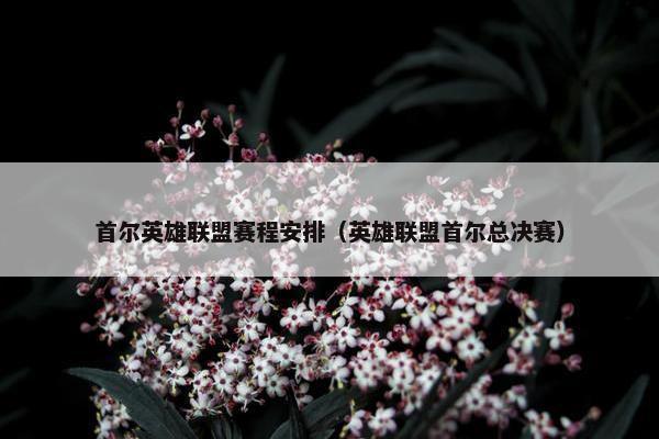首尔英雄联盟赛程安排（英雄联盟首尔总决赛）