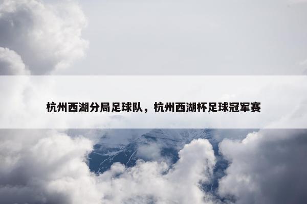 杭州西湖分局足球队，杭州西湖杯足球冠军赛