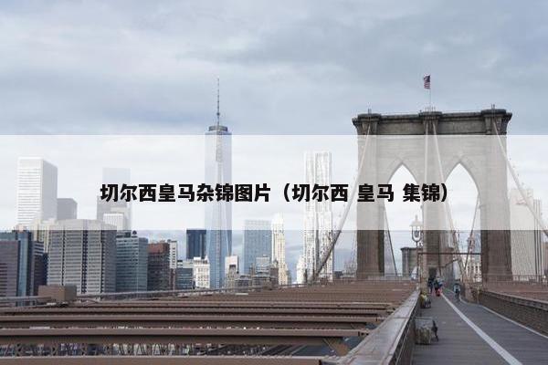 切尔西皇马杂锦图片（切尔西 皇马 集锦）