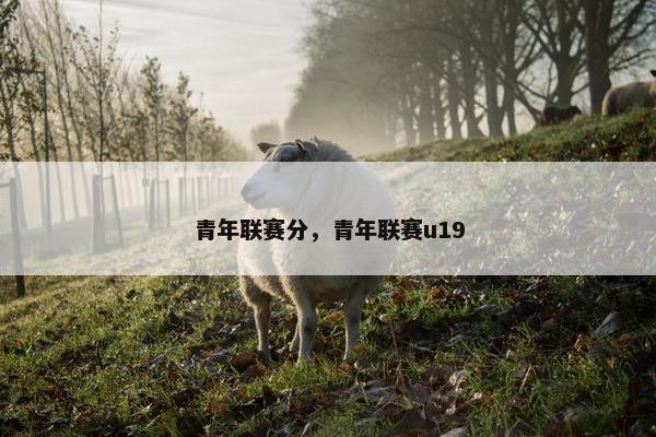 青年联赛分，青年联赛u19