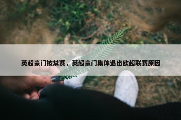 英超豪门被禁赛，英超豪门集体退出欧超联赛原因