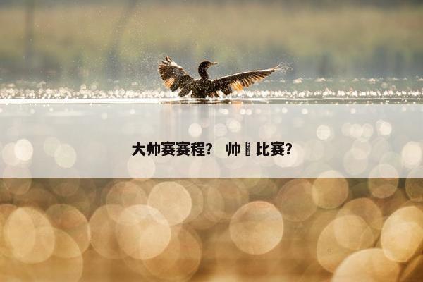 大帅赛赛程？ 帅挍比赛？